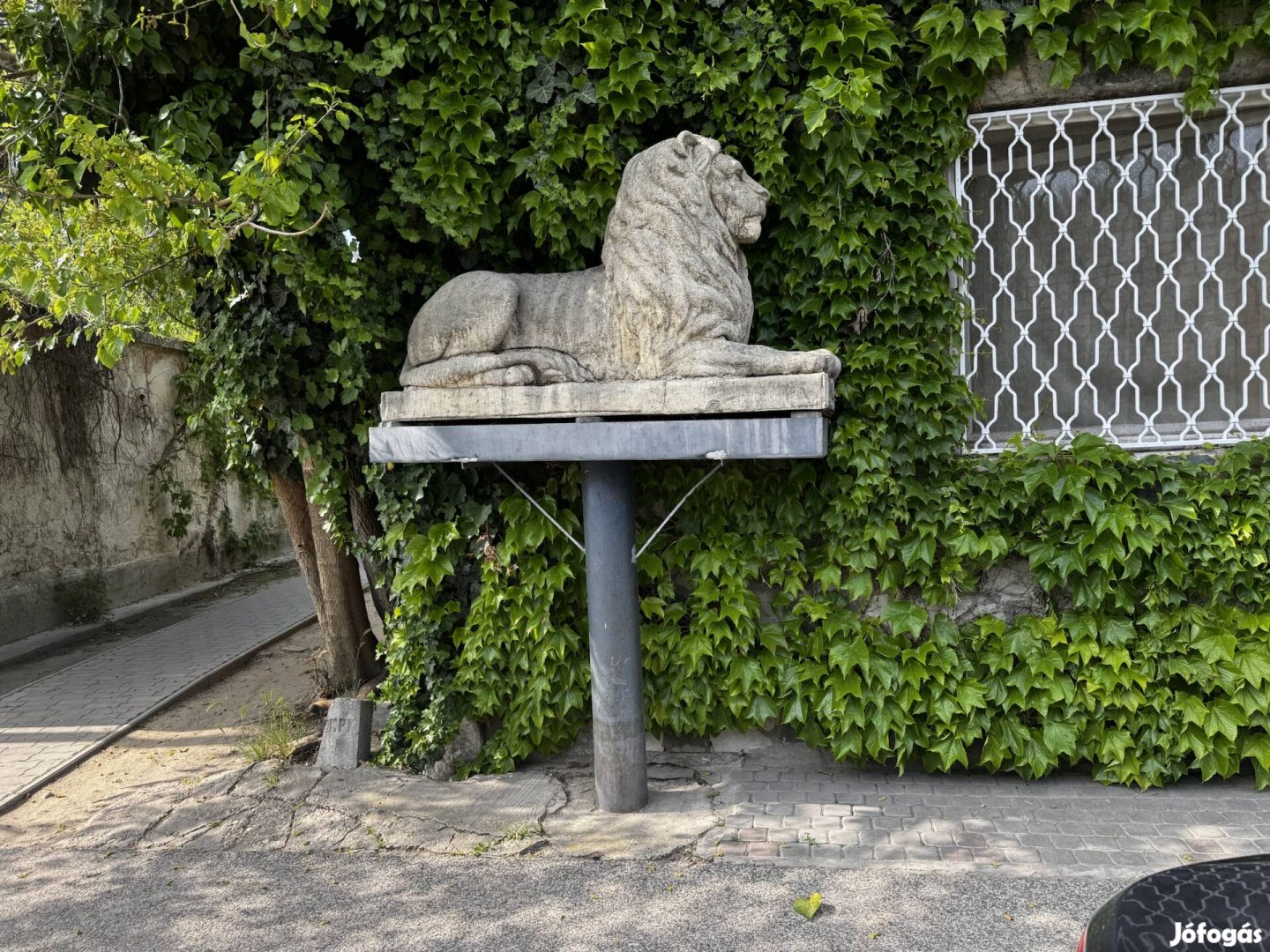 Nagy méretű kő oroszlán eladó