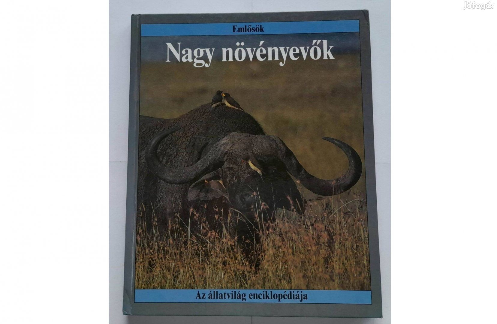 Nagy növényevők