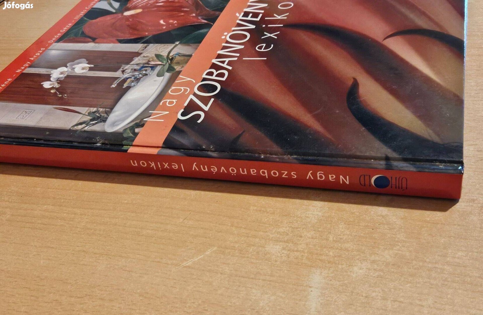 Nagy szobanövény lexikon