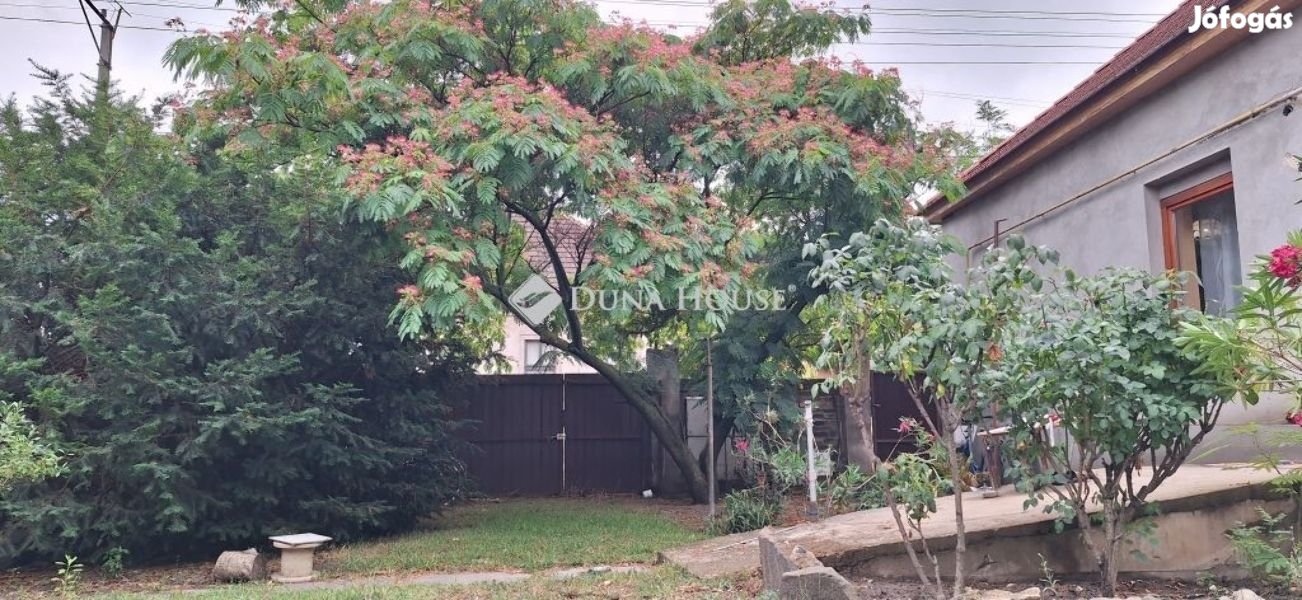 Nagykőrösi eladó 180 nm-es ház