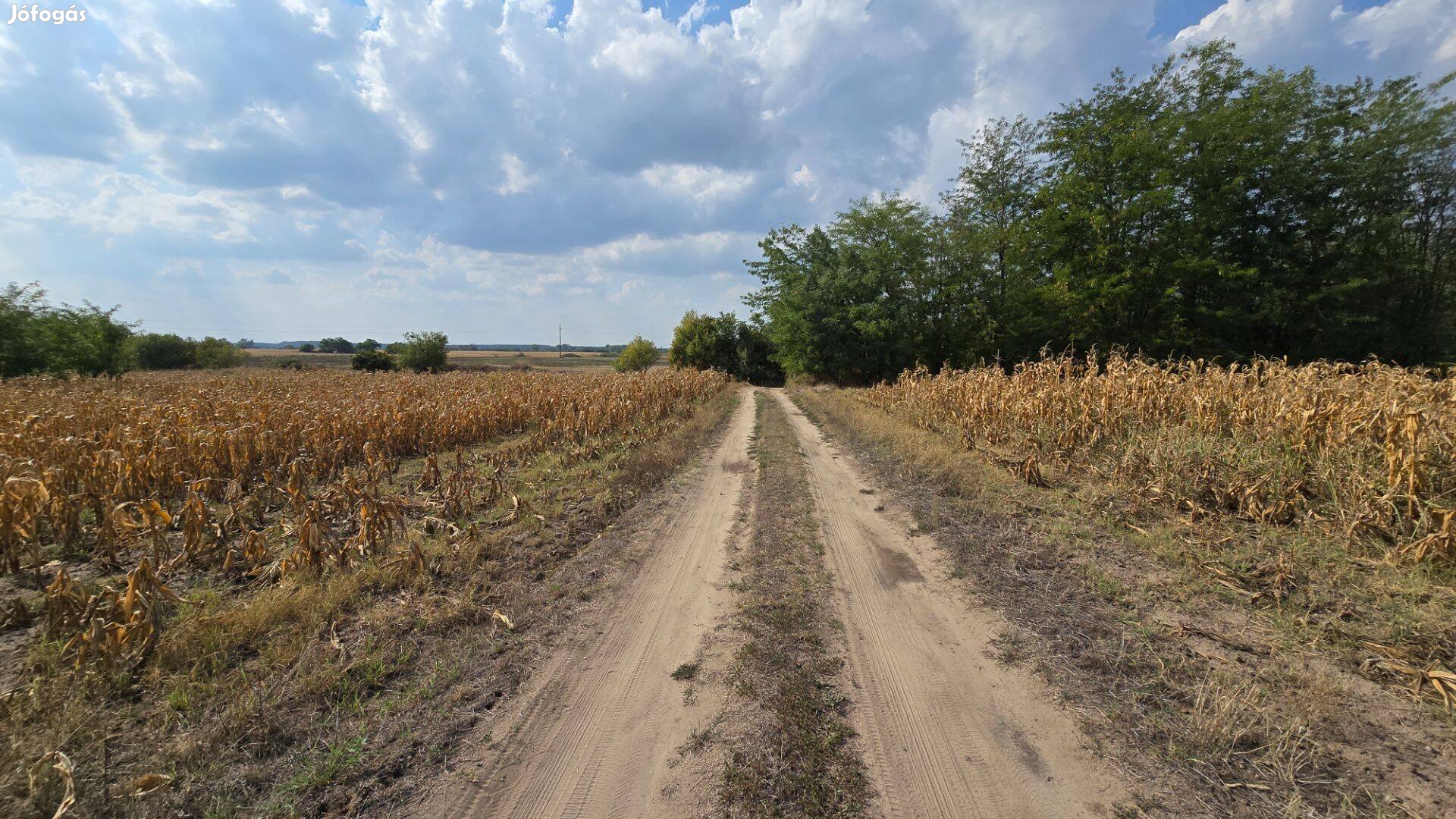 Nagykőrösön 8.532 nm-es ipari telek Eladó!