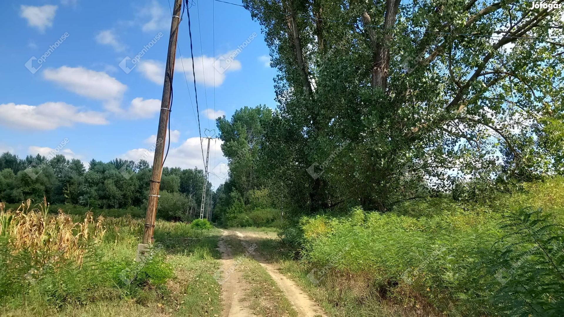 Nagykörűben az élő Tiszától 230 méterre zártkert eladó!