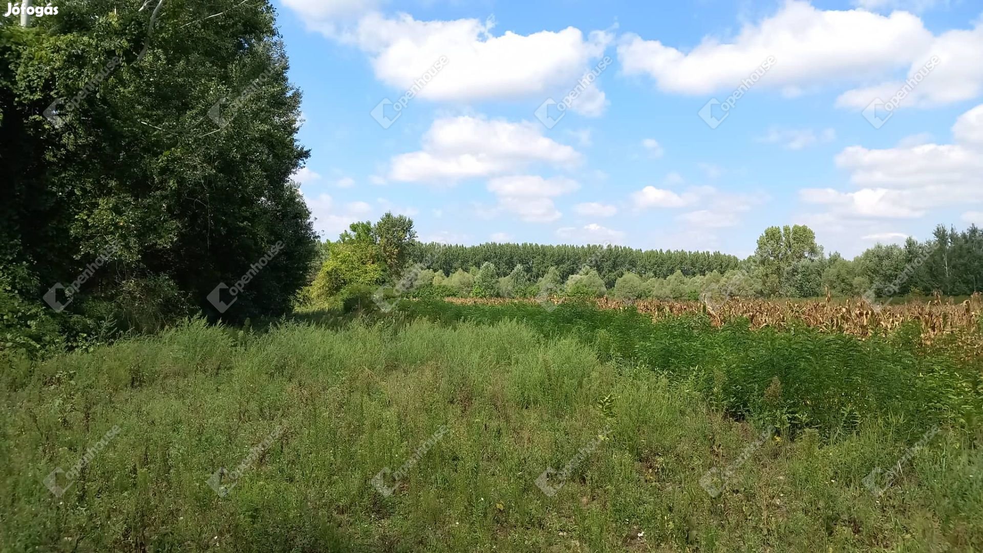 Nagykörűben az élő Tiszától 230 méterre zártkert eladó!