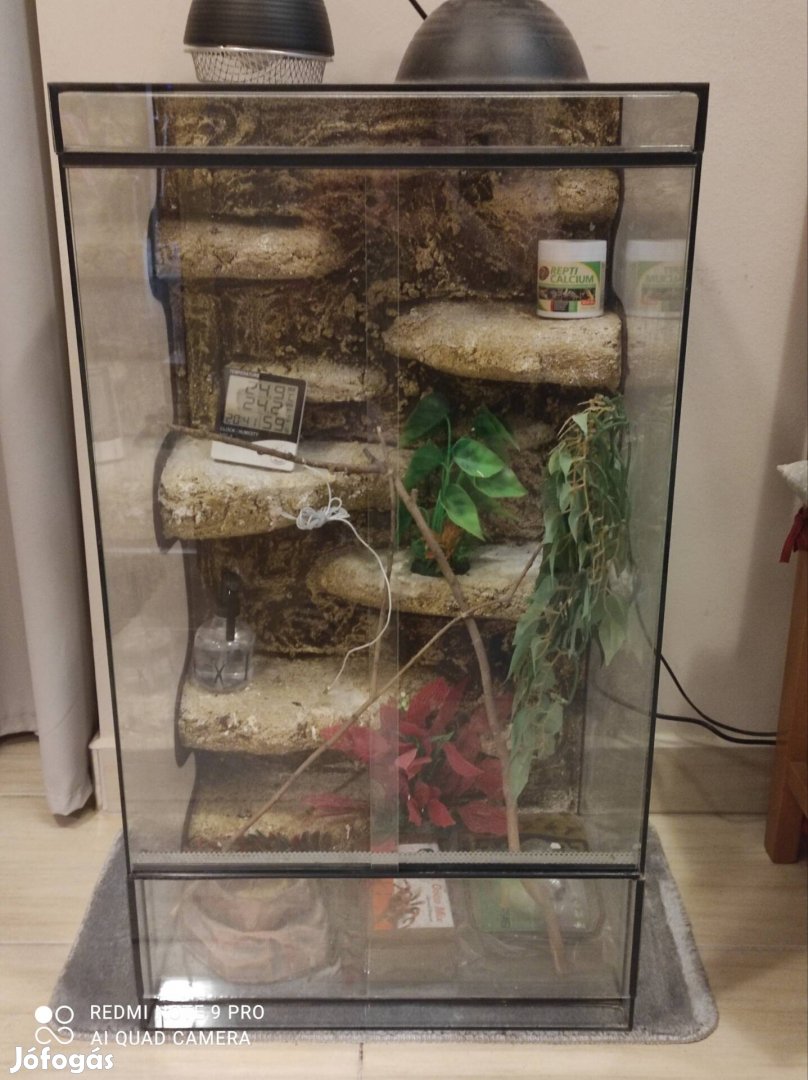 Nagyméretű Terrarium eladó 
