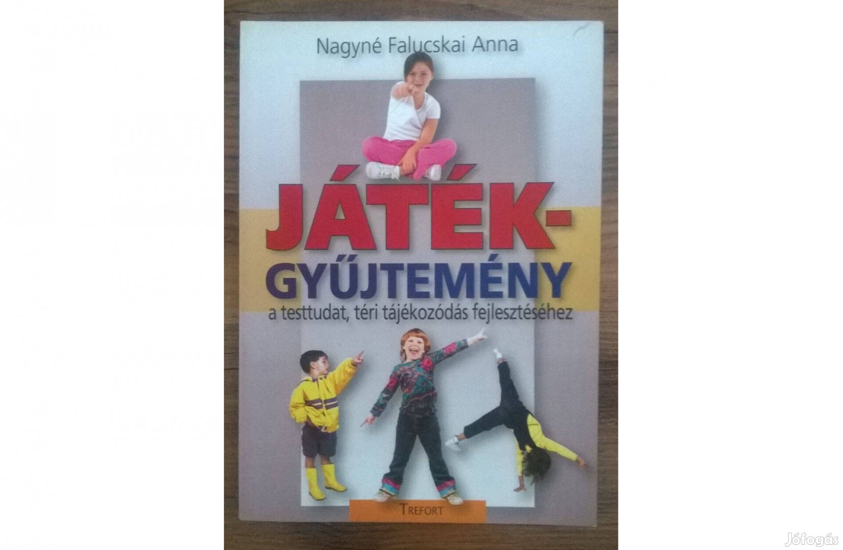 Nagyné Falucskai Anna: Játékgyűjtemény