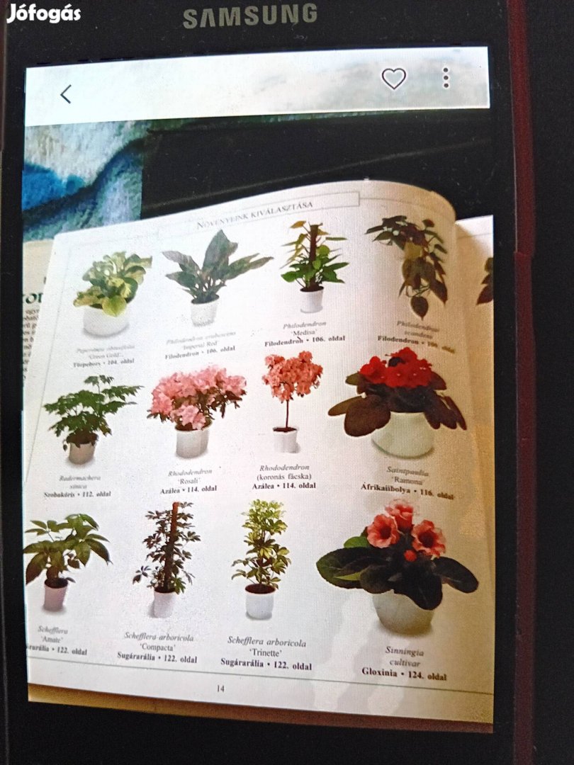 Nagyon tudományosan leirt szép és egészséges növények tudós