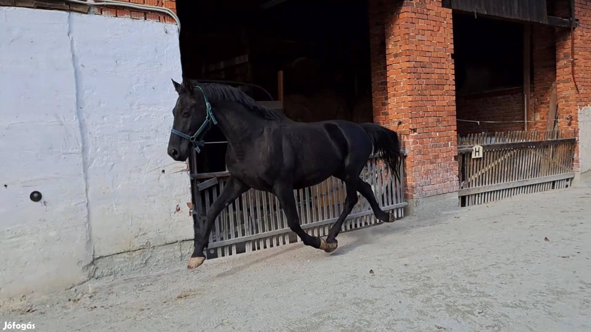 Nagyonszép hobiló