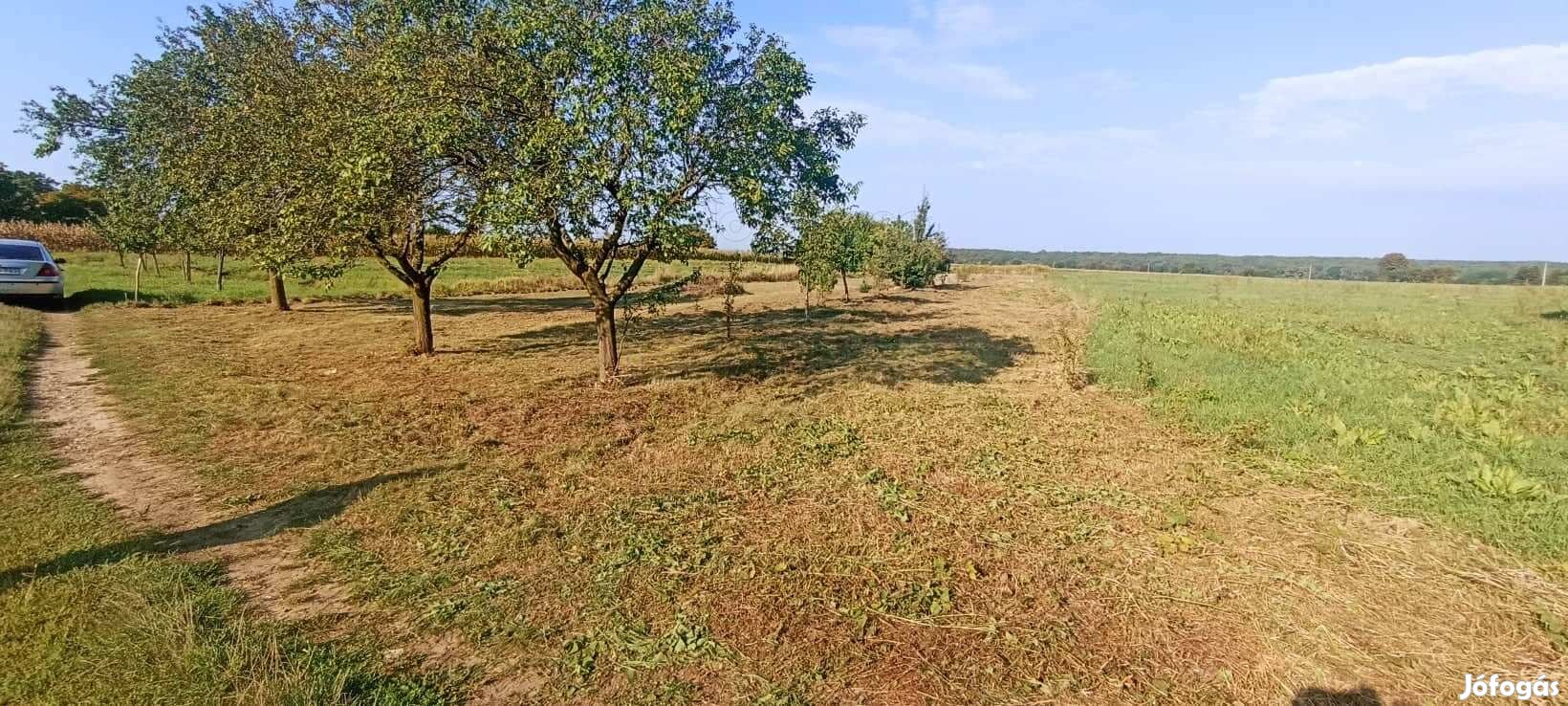 Nagyrécsén eladó szántó besorolású telek