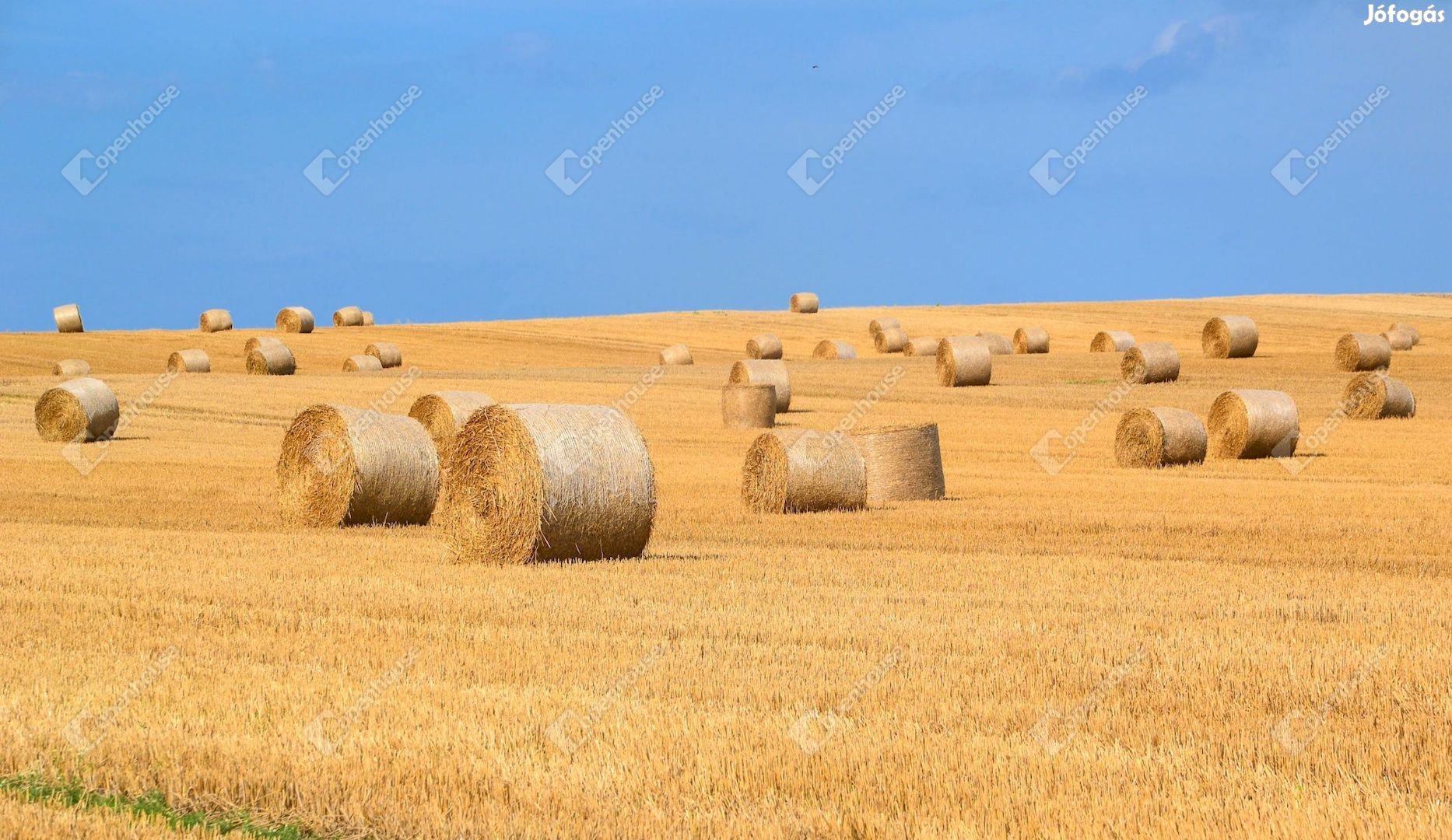 Nagyszénáson eladó 1,2 hektár szántó föld !