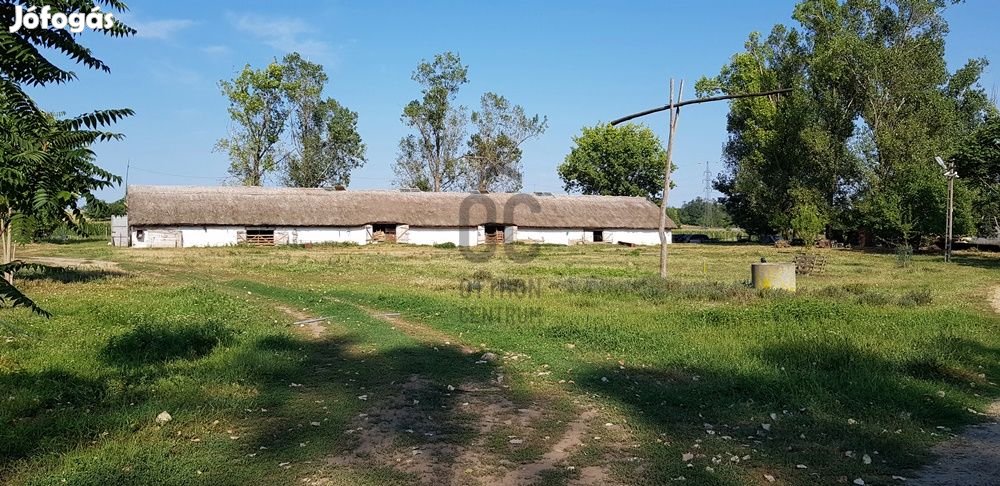 Nagytarcsai eladó telek