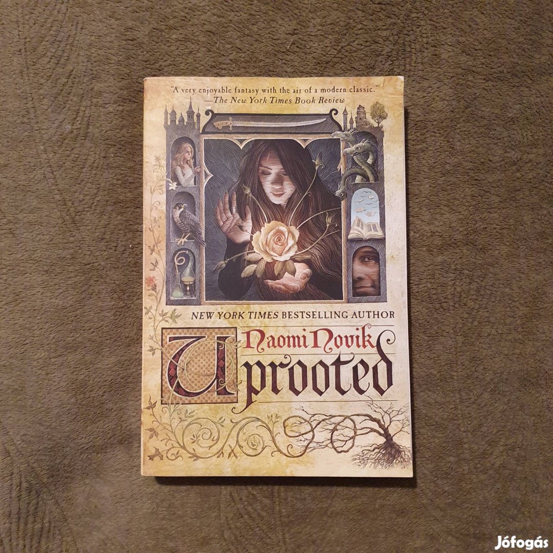 Naomi Novik: Uprooted könyv