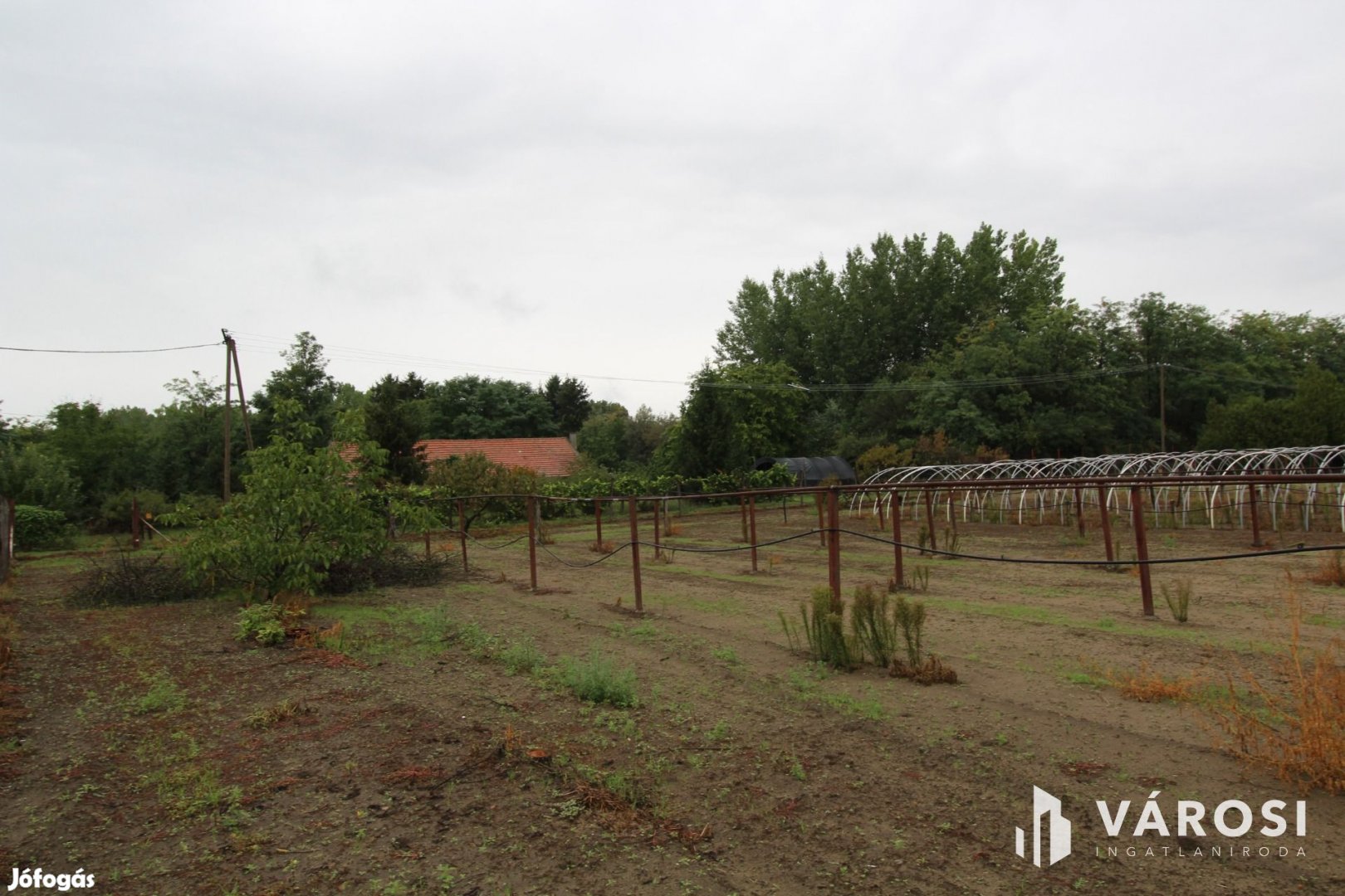 Napfényes mezőgazdasági terület 3000m2-en, Szatymazon eladó