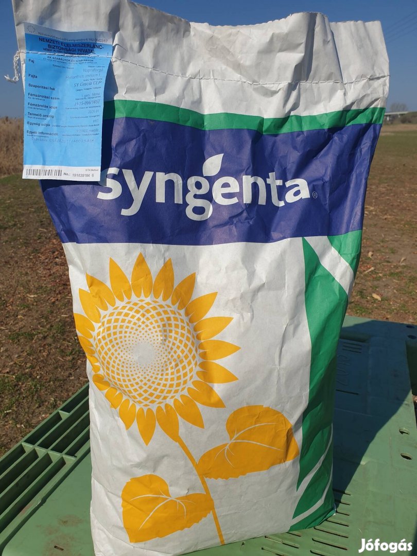 Napraforgó vetőmag