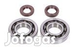 Naraku HD főtengely csapágyak és FKM olajtömítések Peugeot 100cc 2-üte