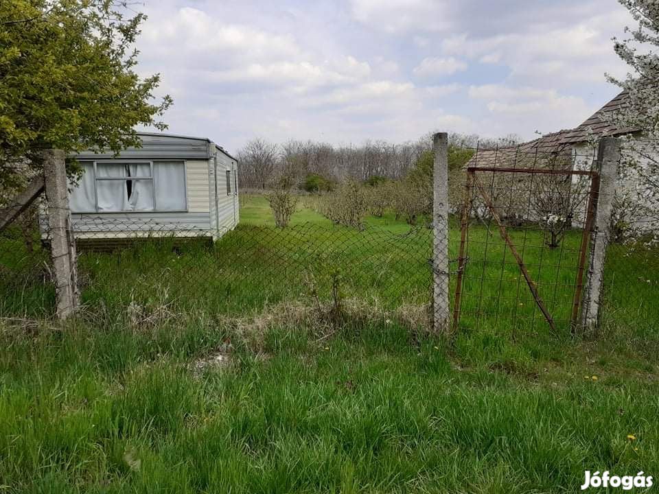 Naszály  Grébicspuszta belterületi telek eladó!