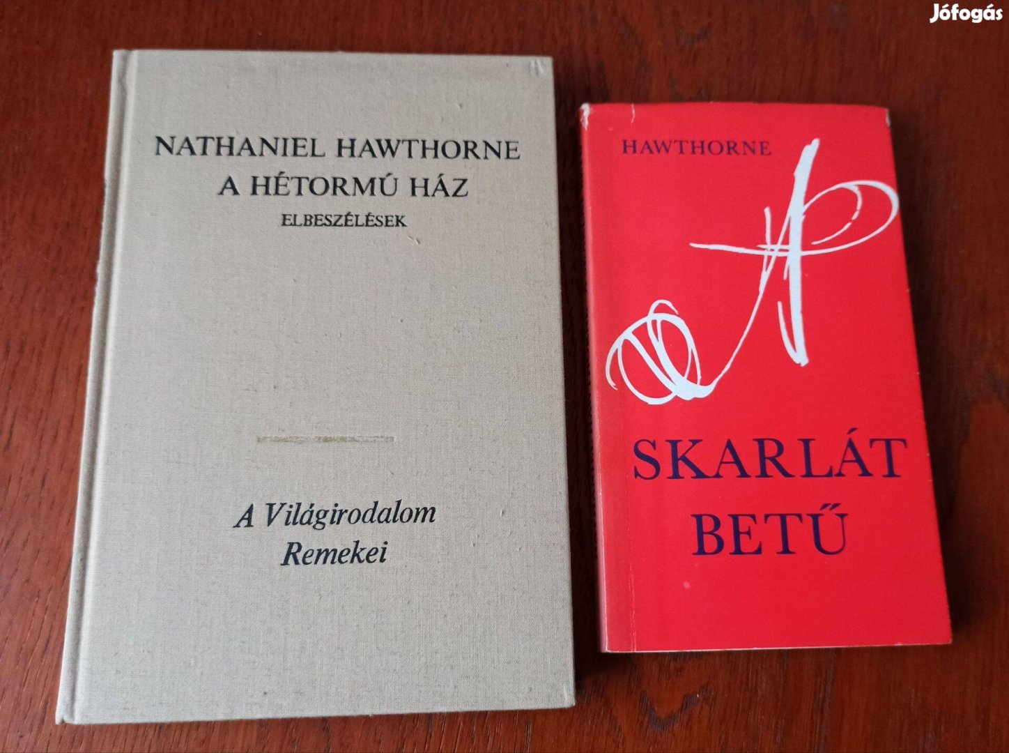 Nathaniel Hawthorne - A skarlát betű + Hétormú ház