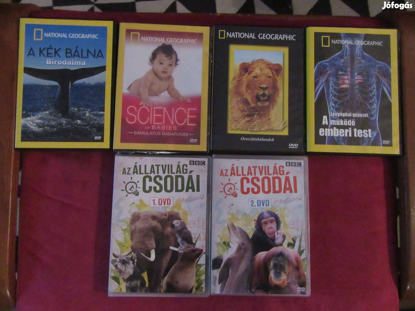 National Geographic 4 db-os DVD sorozat - tiszta Új, nem használt