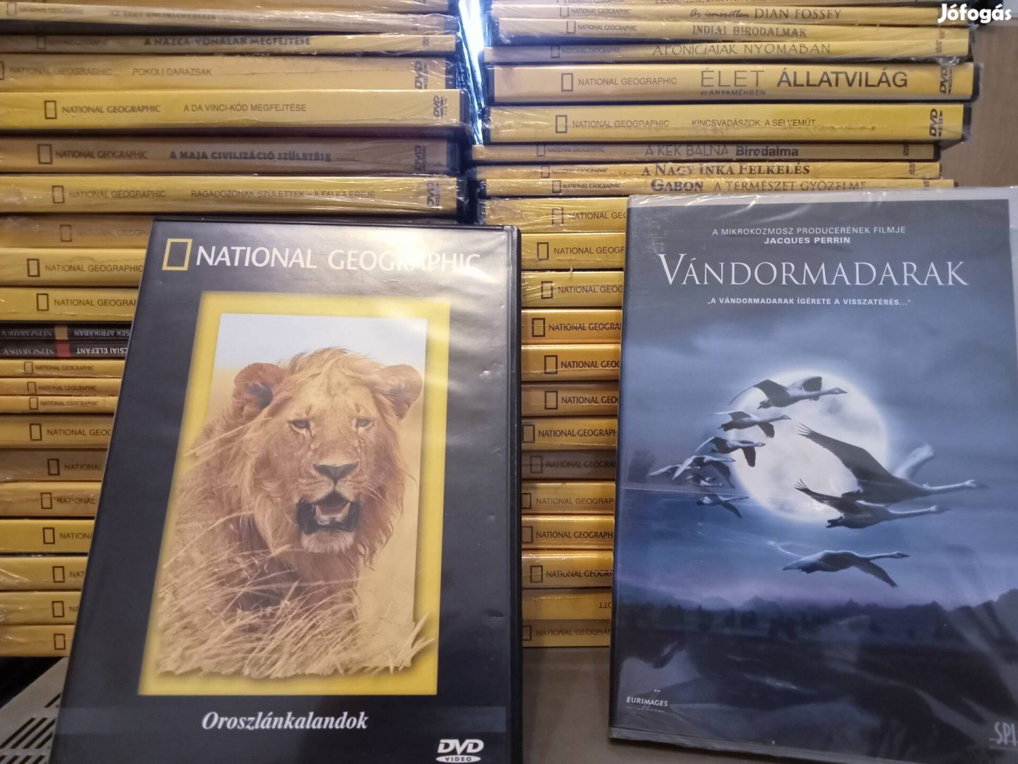 National Geographic DVD uj. sorozat eladó