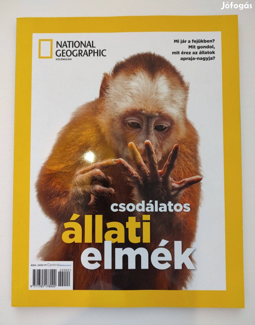 National Geographic: Csodálatos állati elmék