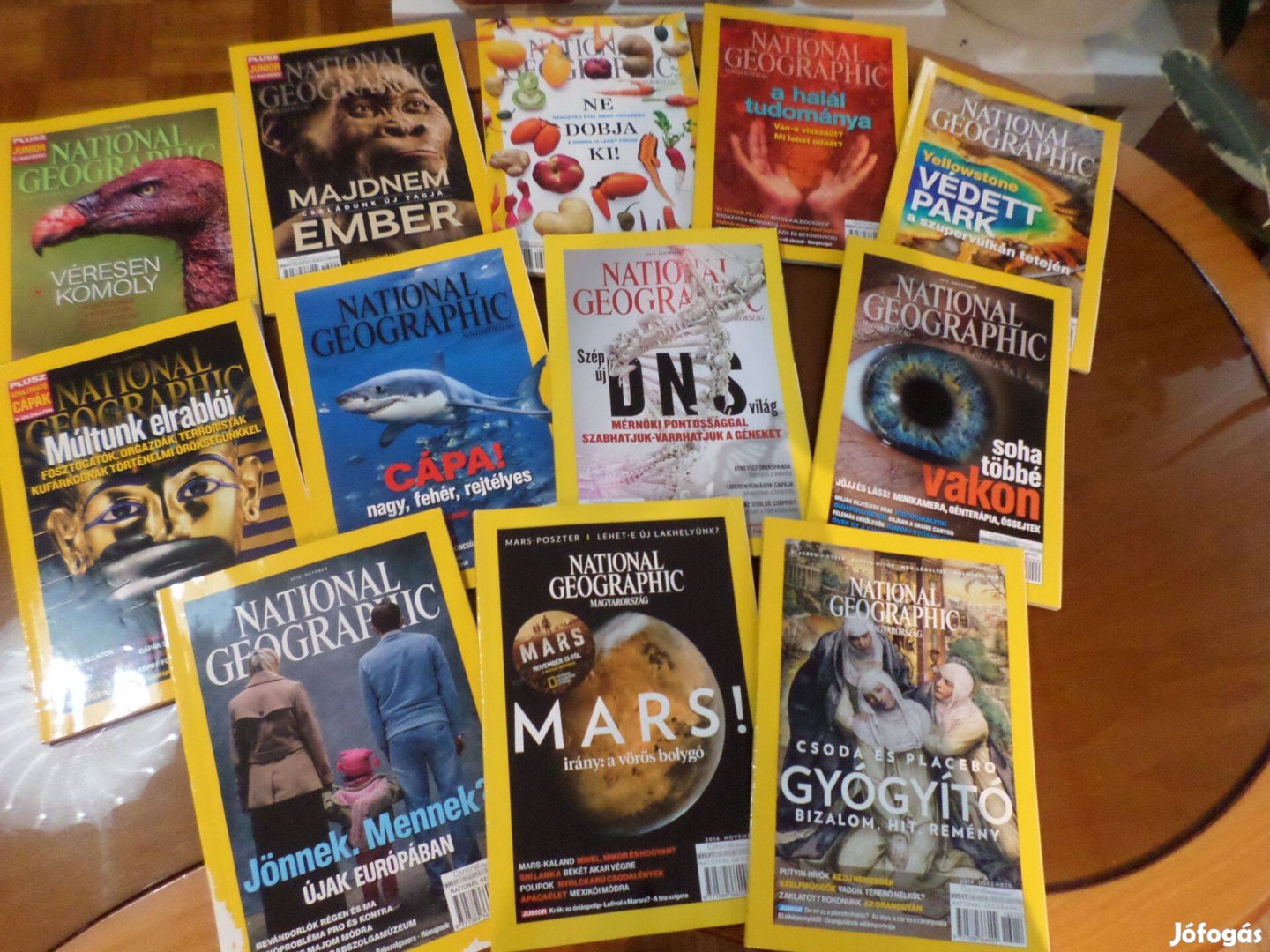 National Geographic magazinok 2016. 499 Ft/db