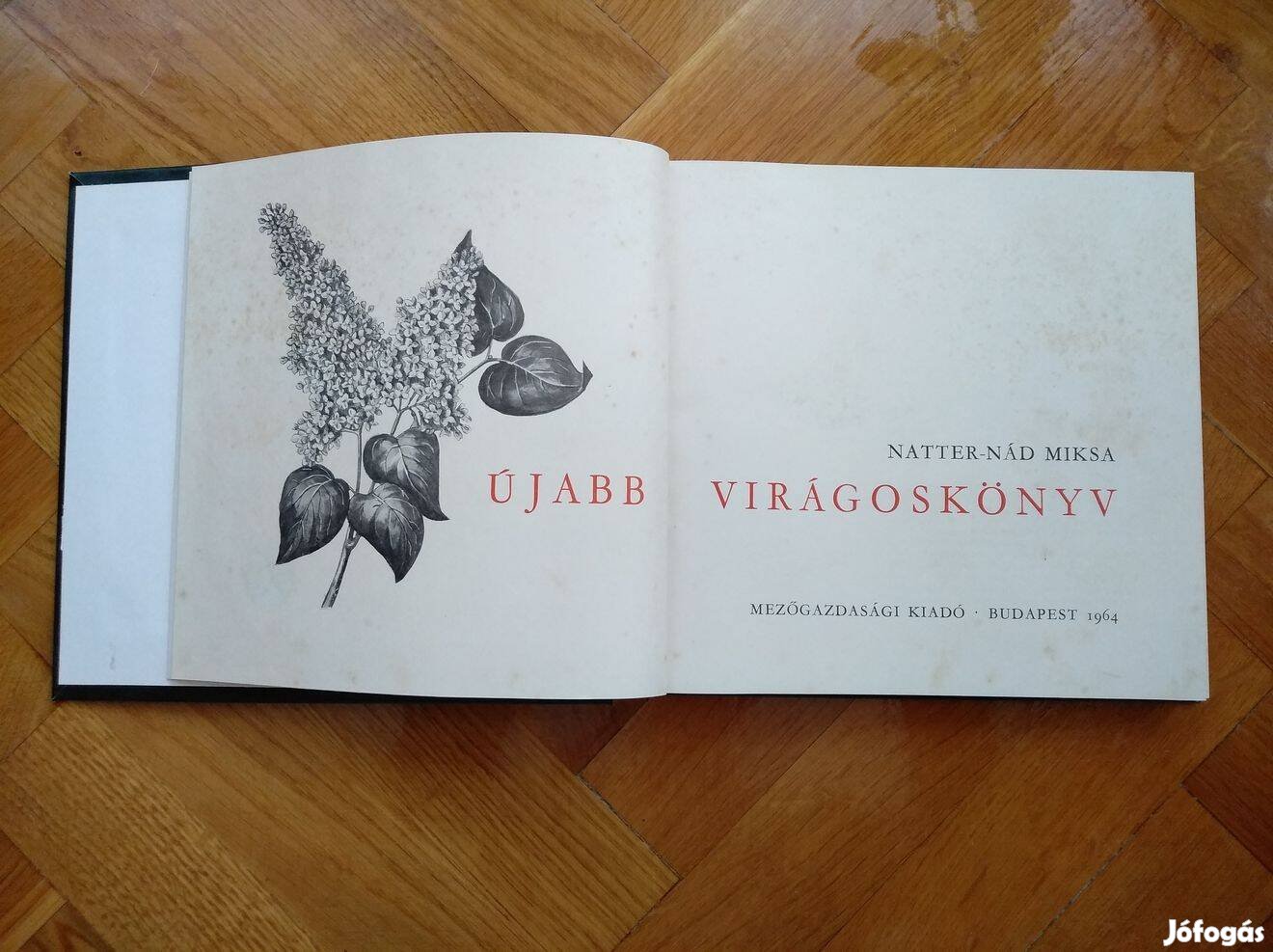 Natter-Nád Miksa Újabb virágoskönyv 1964 könyv