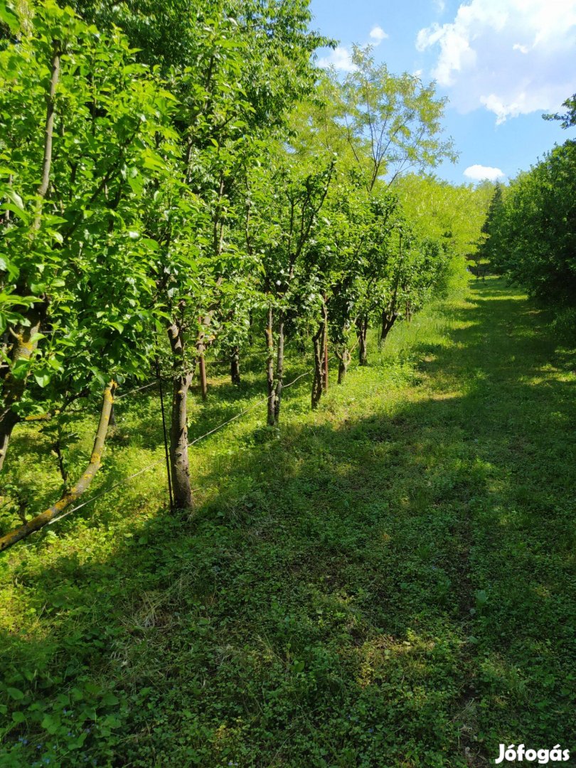 Natura 2000 telek Sitke közelében