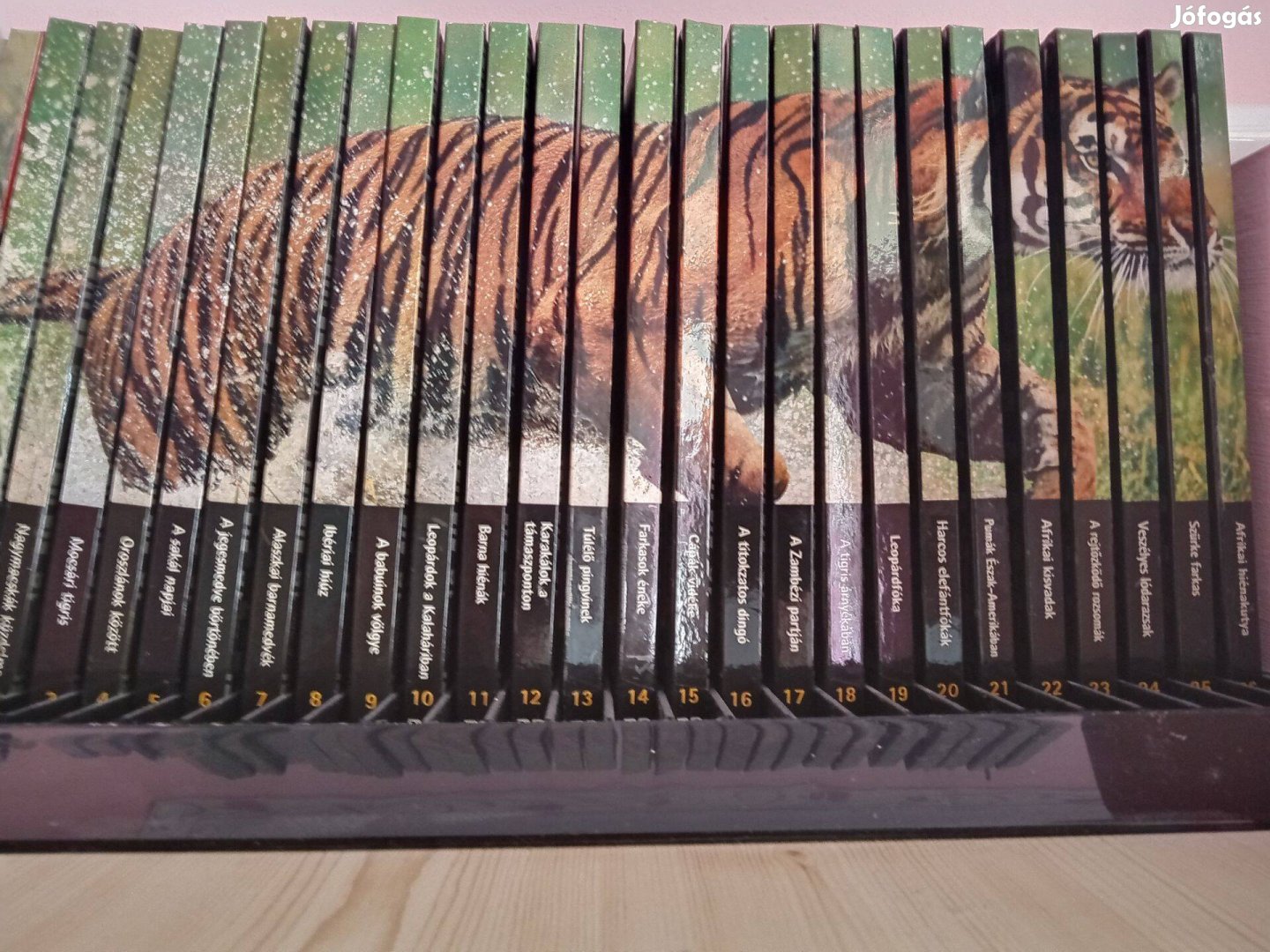 Naturel killers DVD sorozat eladó