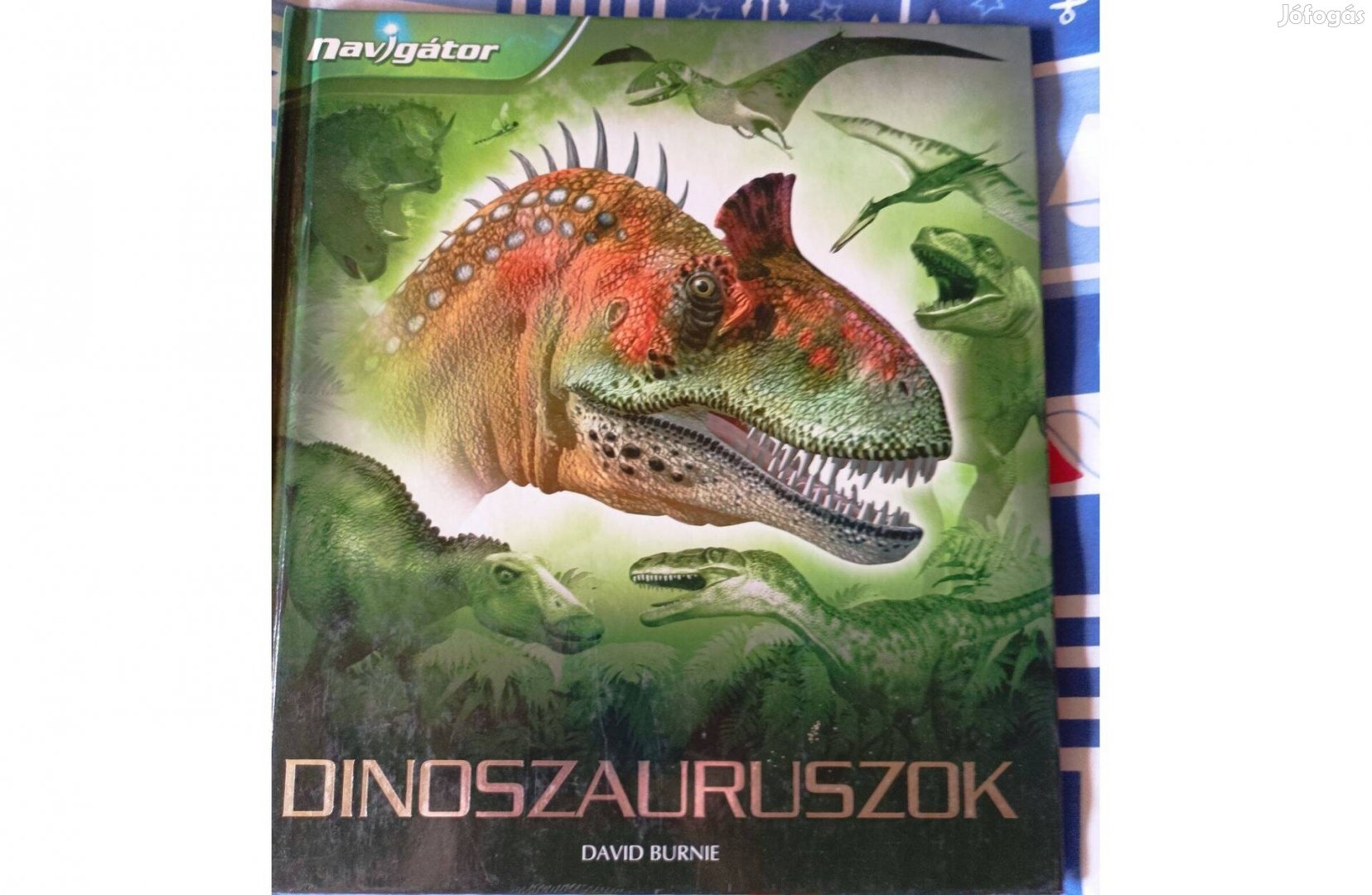 Navigátor: Dinoszauruszok