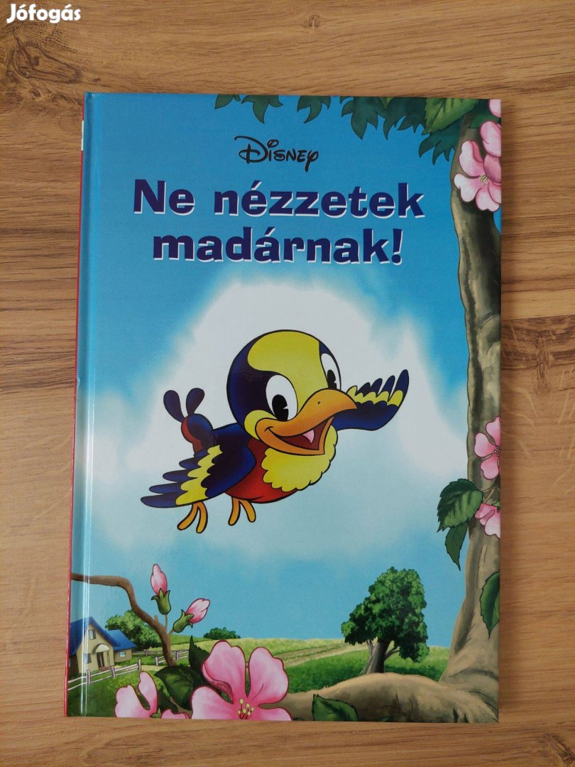 Ne nézzetek madárnak! Disney mesekönyv, gyerek könyv