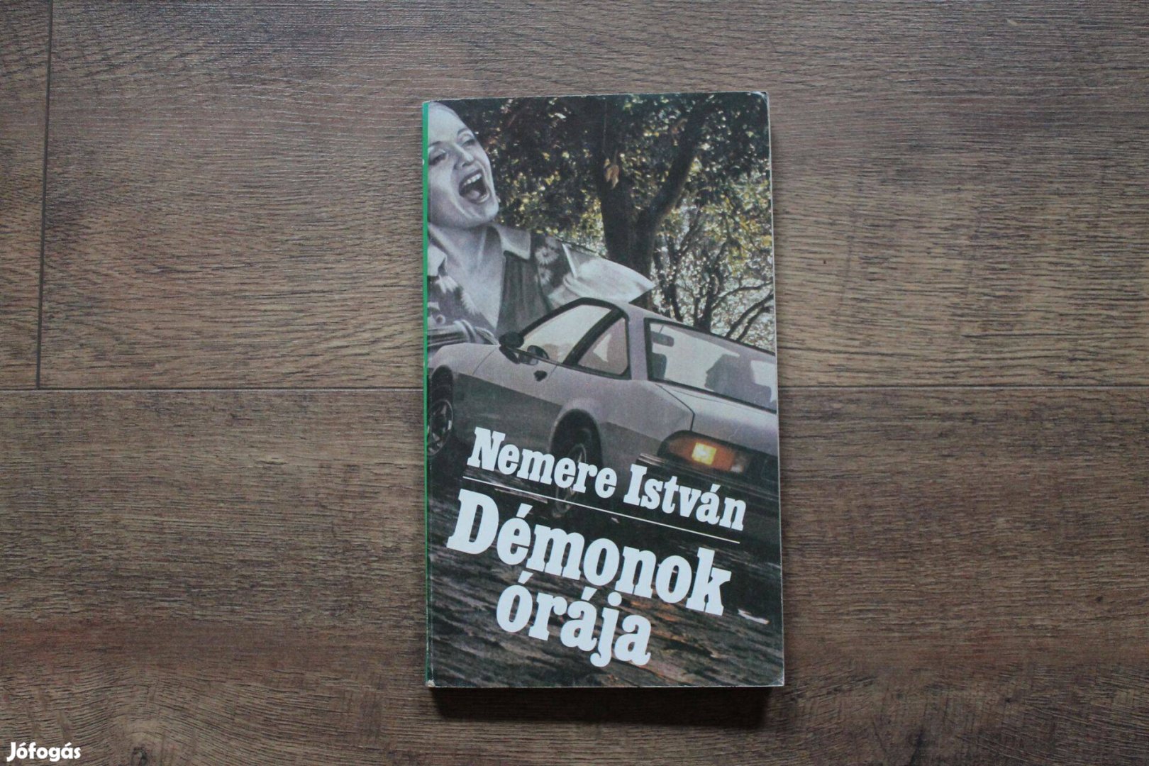 Nemere István - Démonok órája