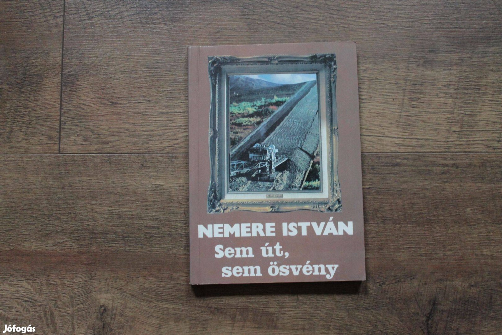 Nemere István - Sem út, sem ösvény