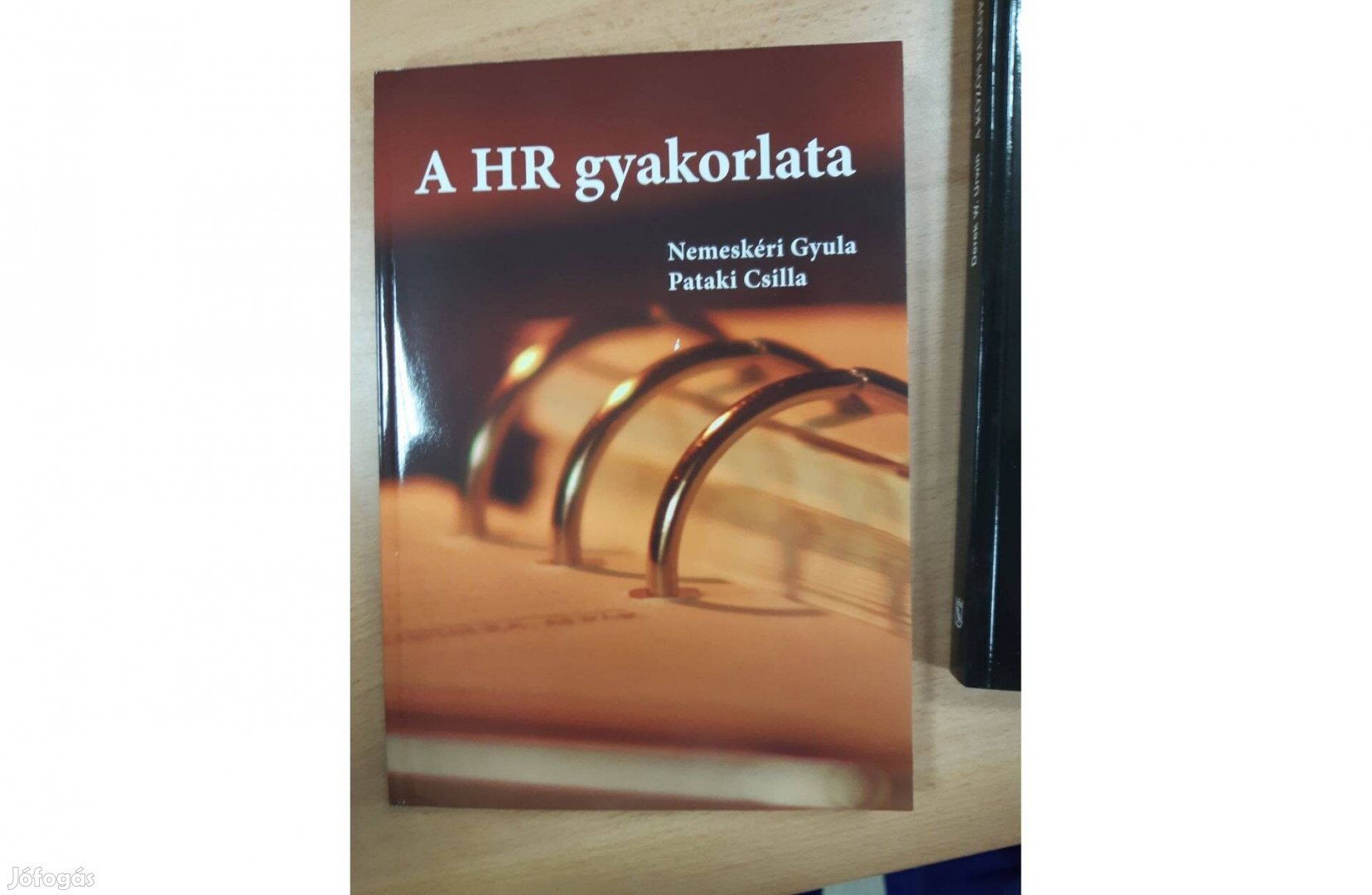 Nemeskéri Gyula, Pataki Csilla: A HR gyakorlata Újszerű