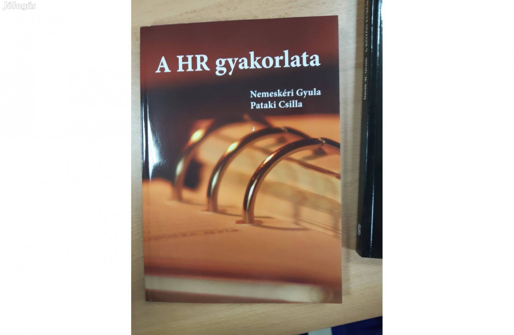 Nemeskéri Gyula, Pataki Csilla: A HR gyakorlata Újszerű