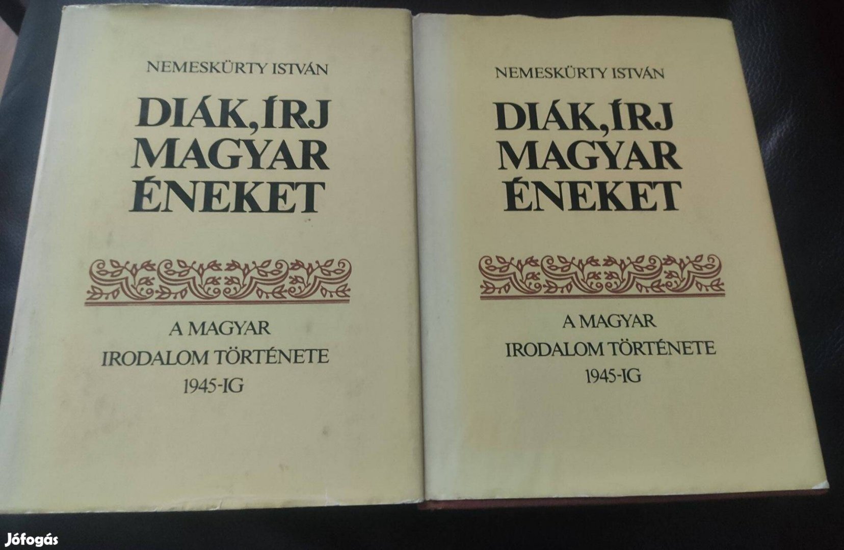 Nemeskürty István: Diák, írj magyar éneket A magyar irodalom története