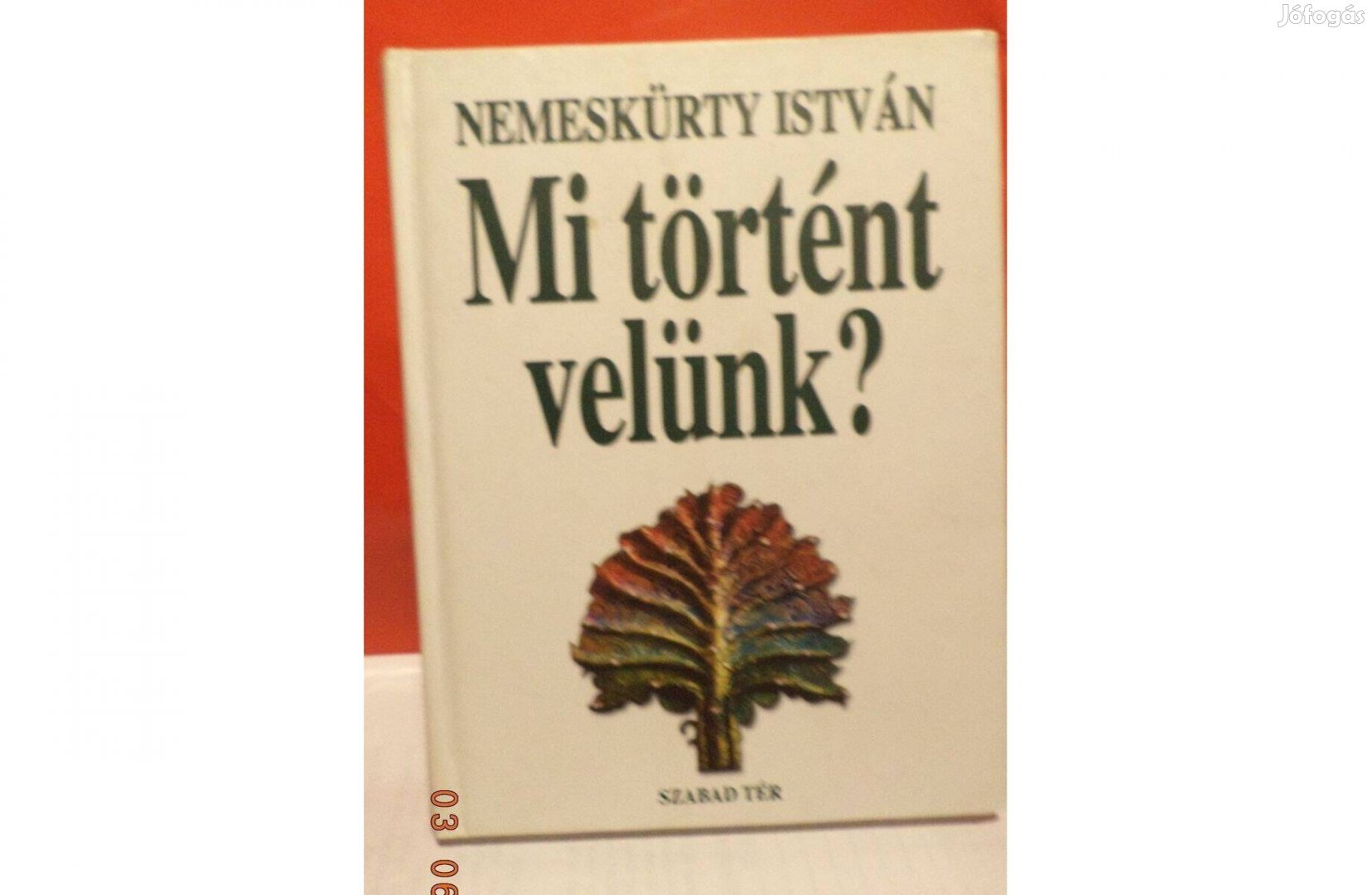 Nemeskürty István: Mi történt velünk?