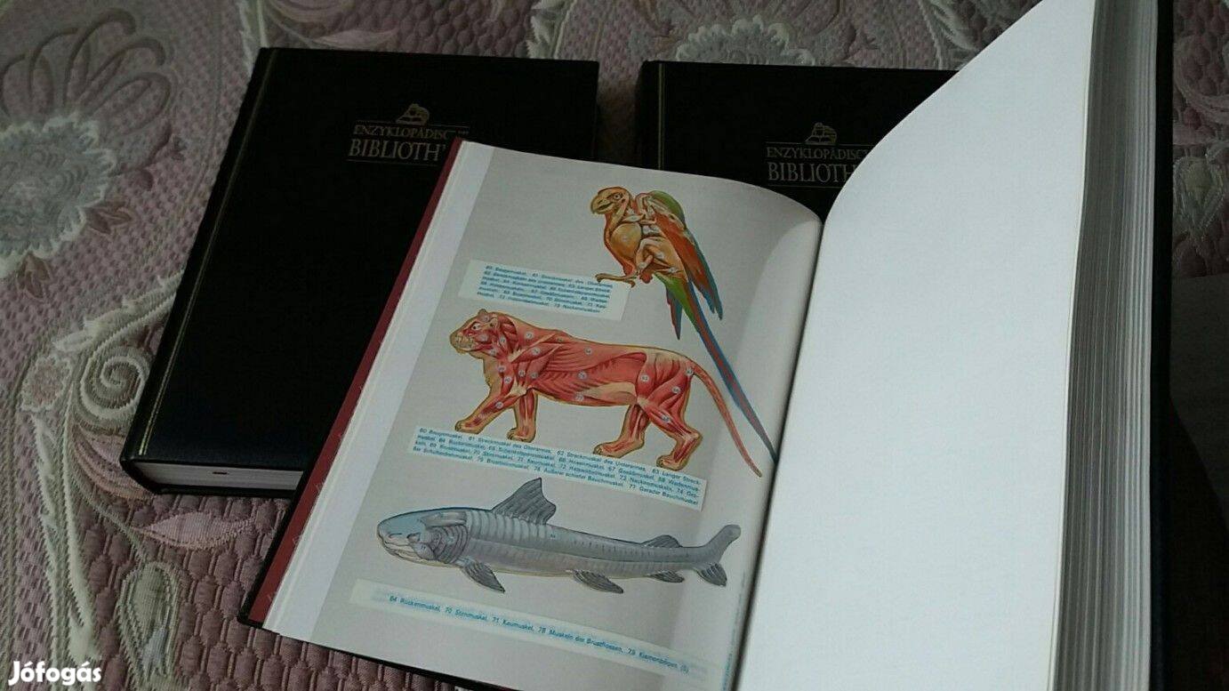 Német lexikon Enzyklopdische 6 kötet. új állapotban