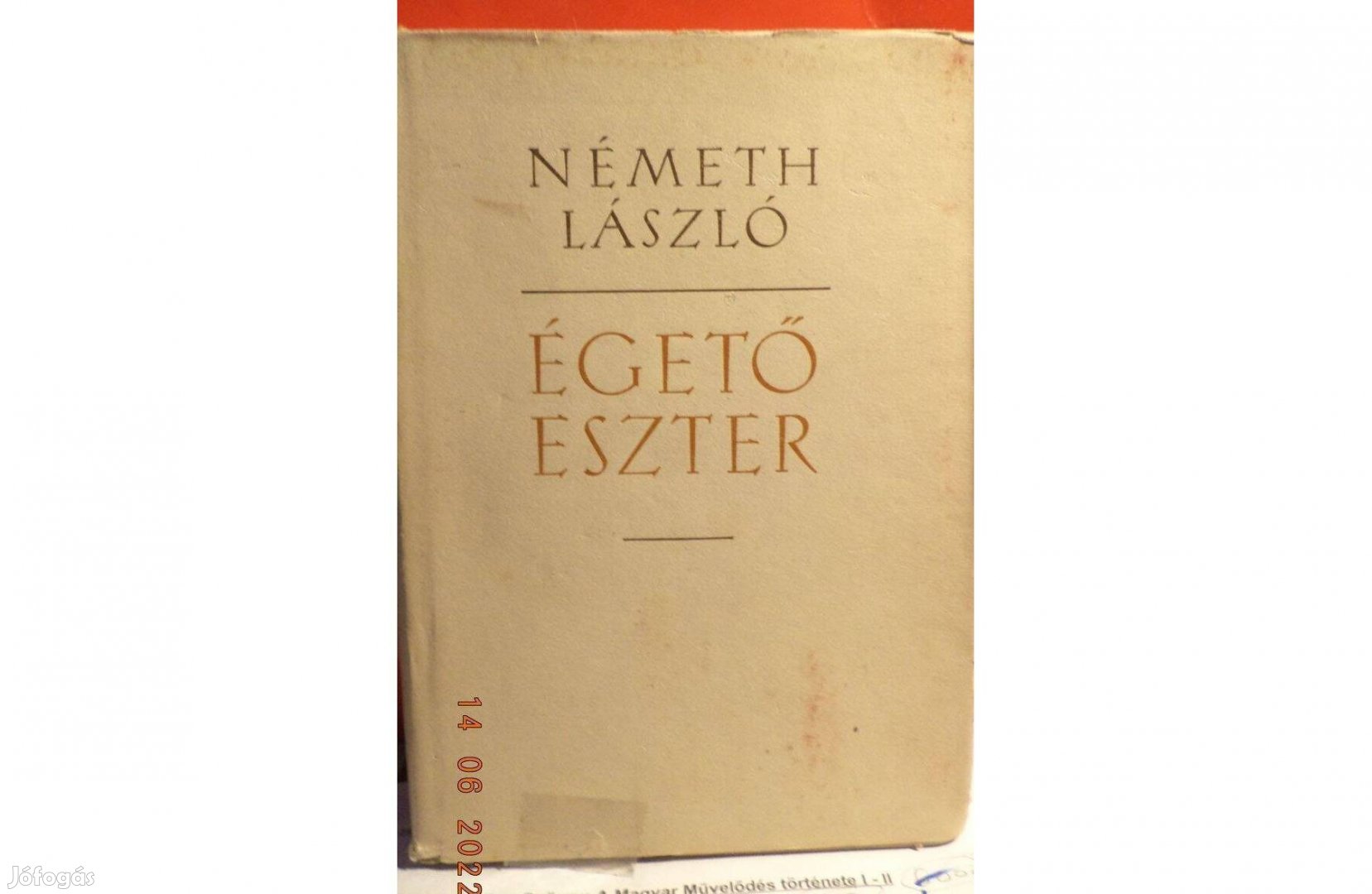 Németh László: Égető Eszter