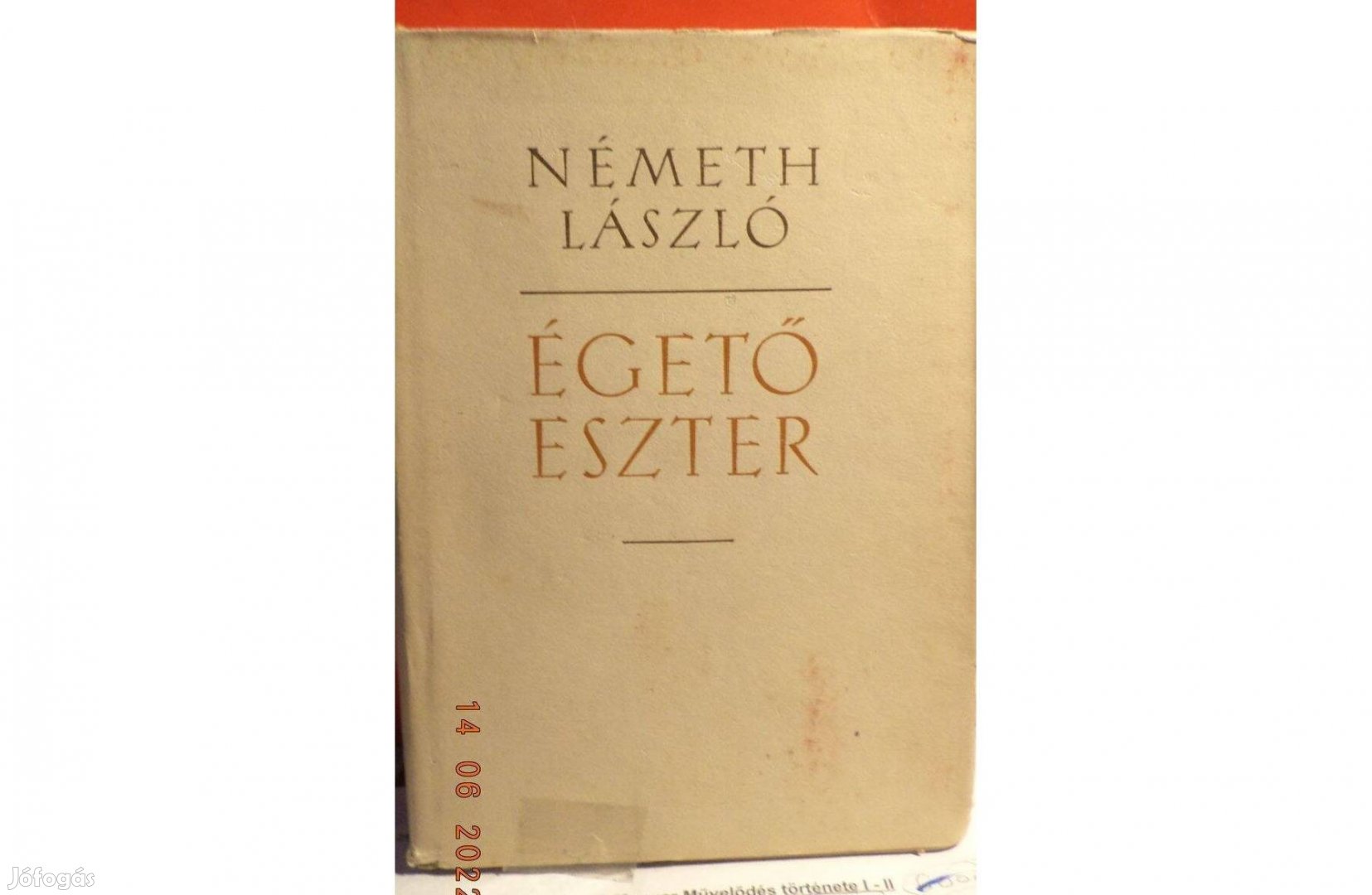 Németh László: Égető Eszter