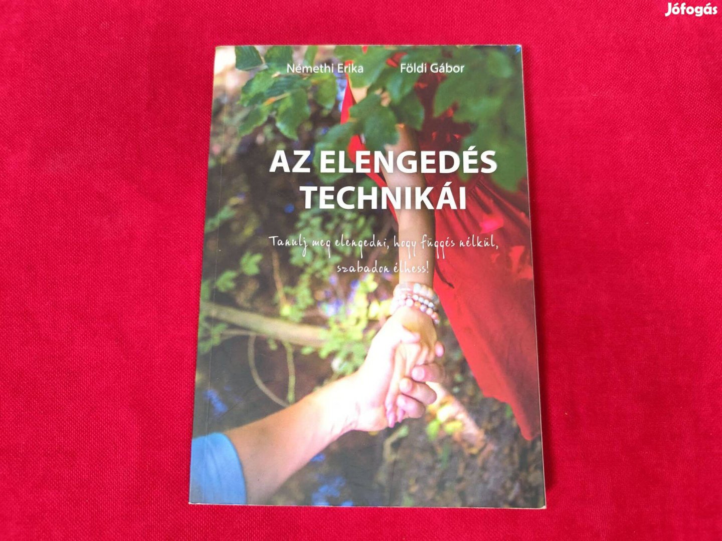 Némethi Erika Földi Gábor Az elengedés technikái