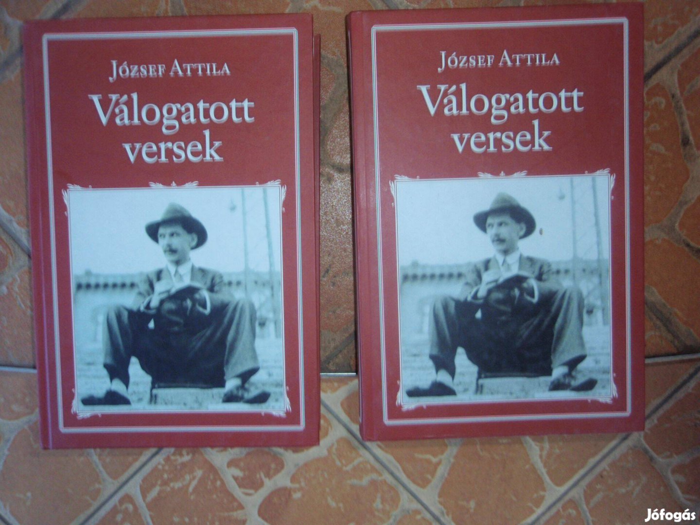 Nemzeti könyvtár József Attila válogatott versek 50