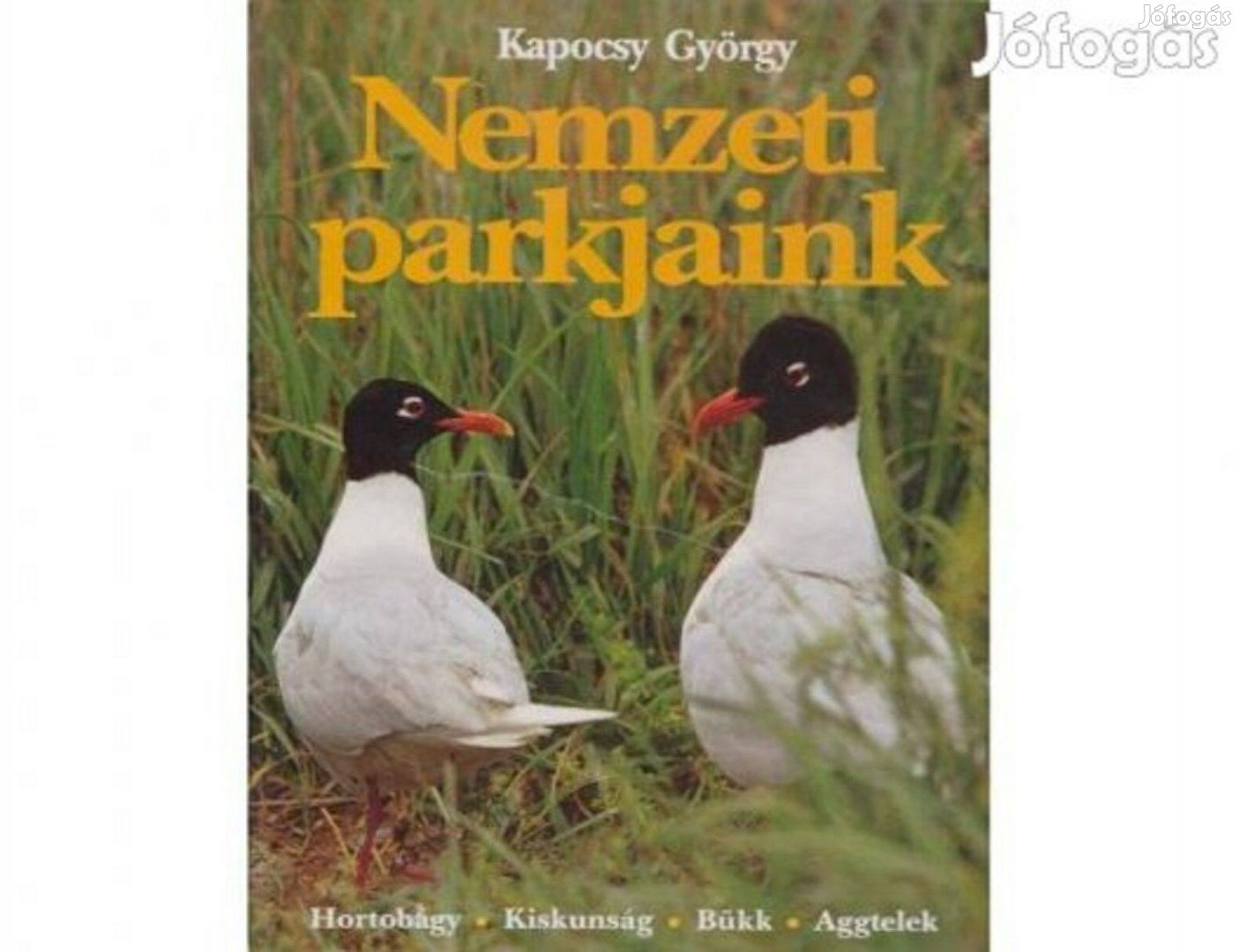 Nemzeti parkjaink - Kapocsy György