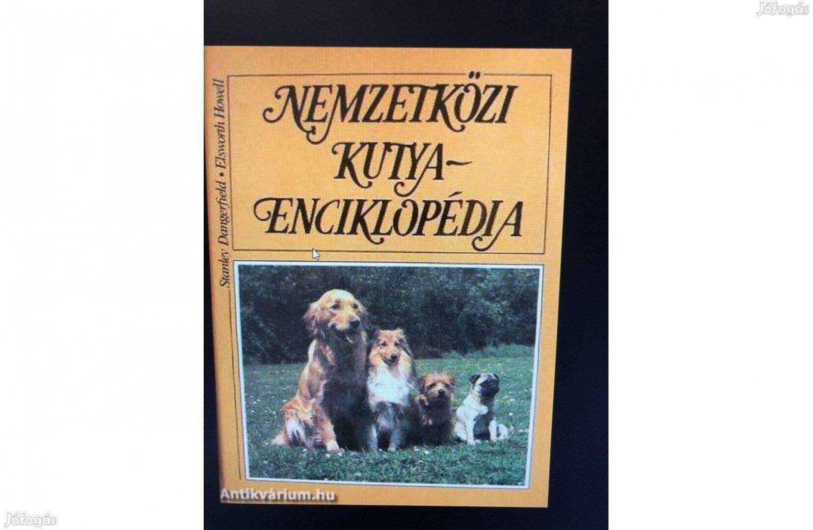 Nemzetközi kutya-enciklopédia könyv
