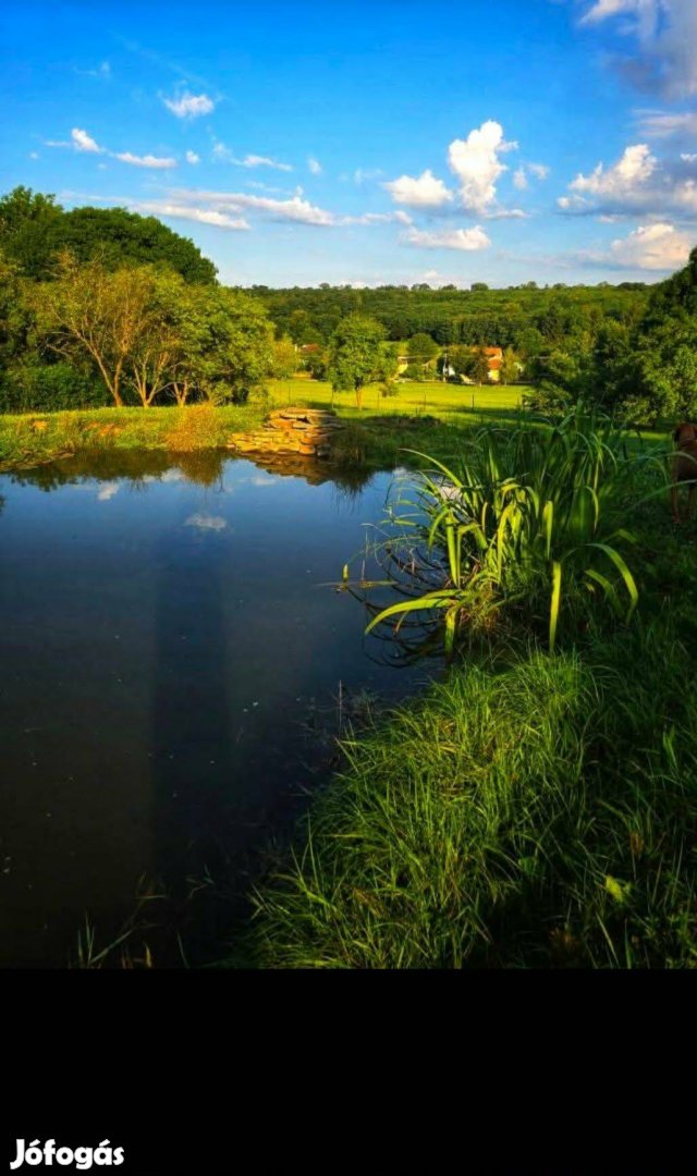 Népi Barokk Stílusú Családi Ház Eladó Nagy Telekkel