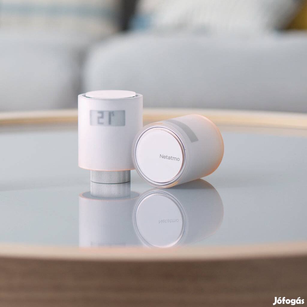 Netatmo starter pack valve set