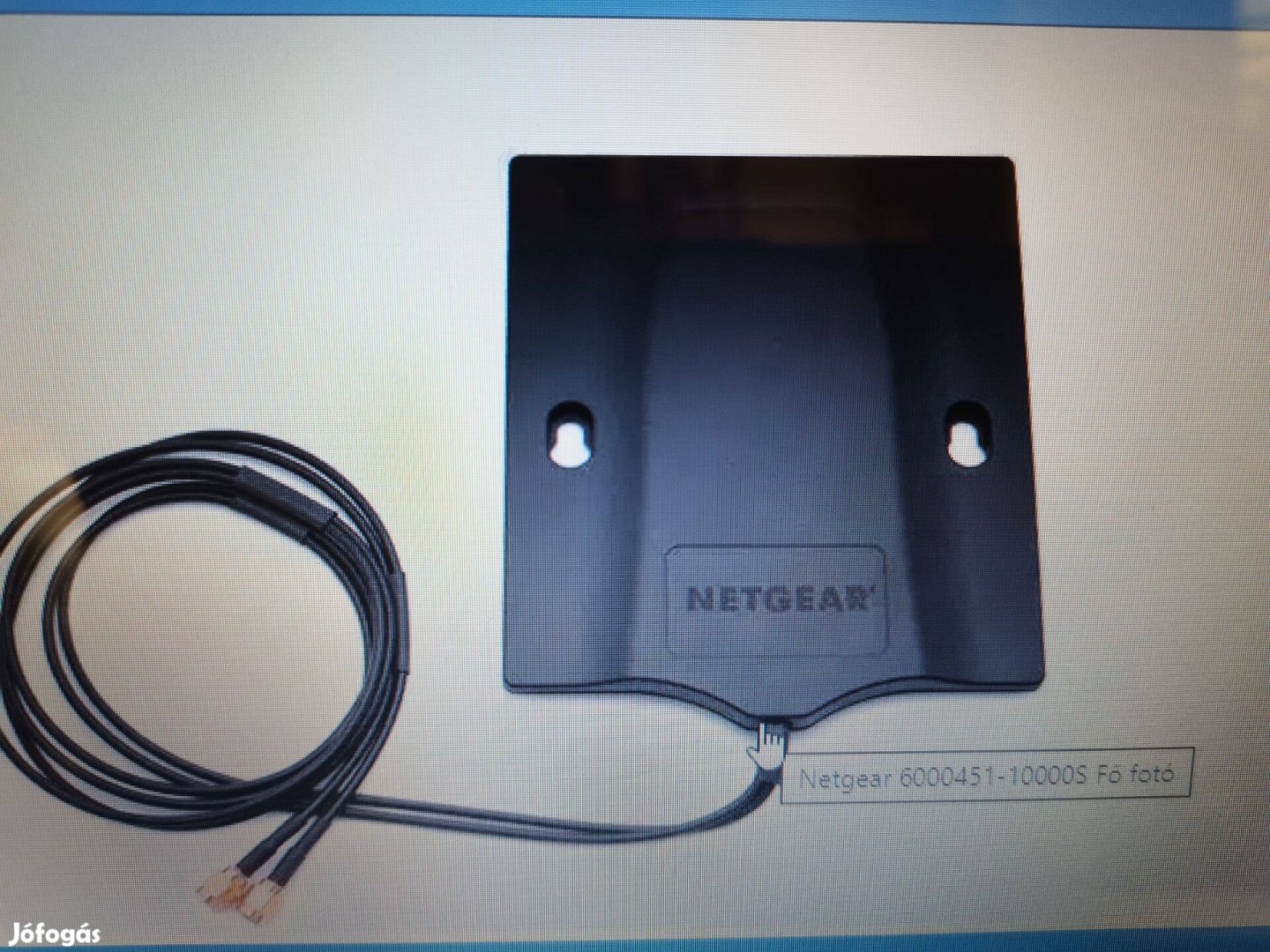 Netgear Mimo LTE Antenna