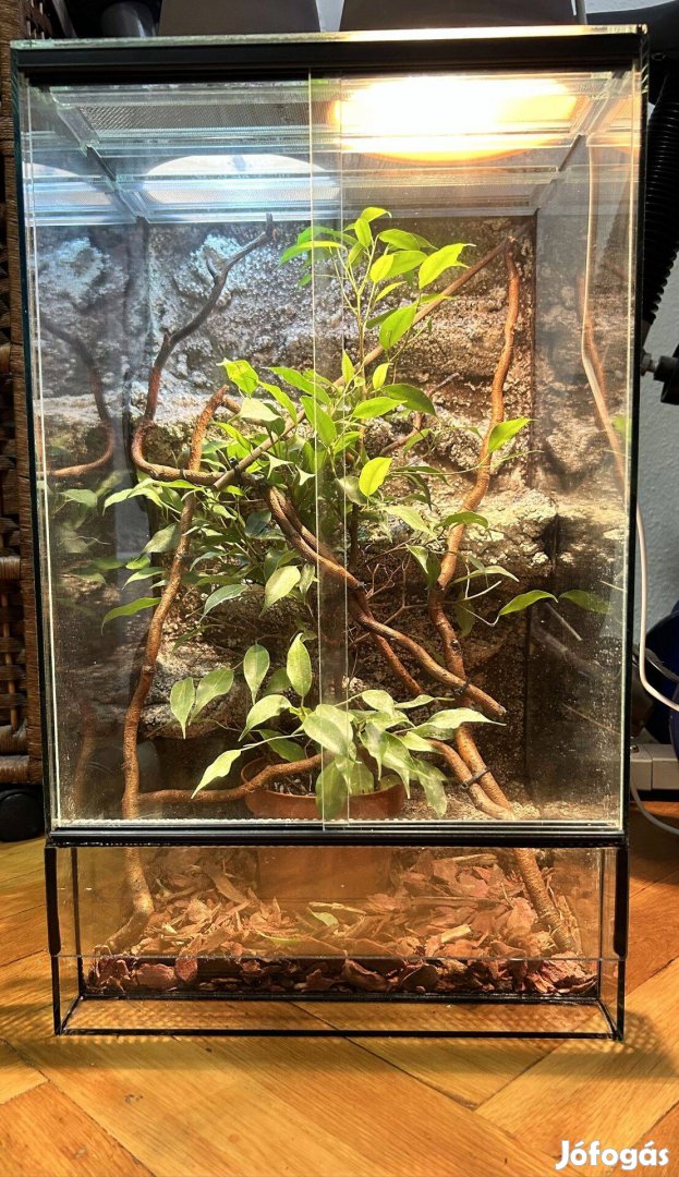 Nevelő terrárium 30x30x50