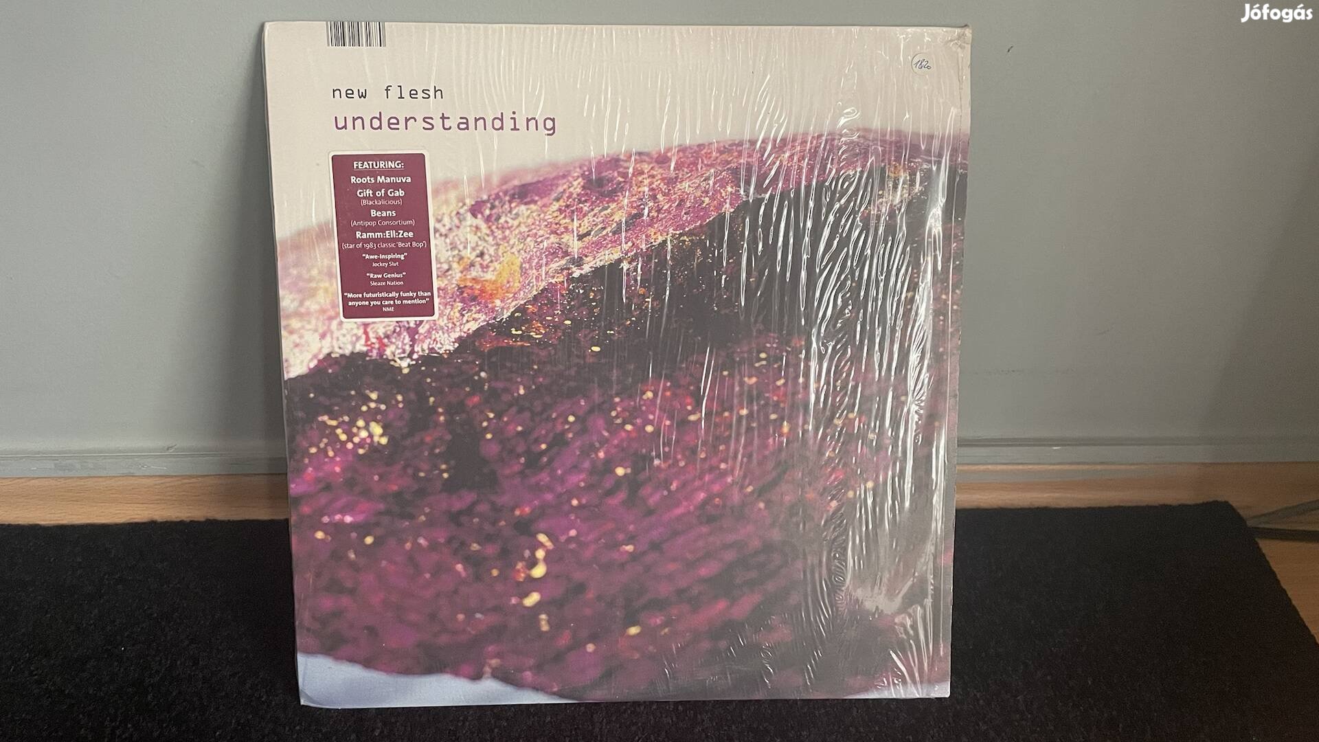 New Flesh-Understanding Vinyl LP Bakelitlemez 