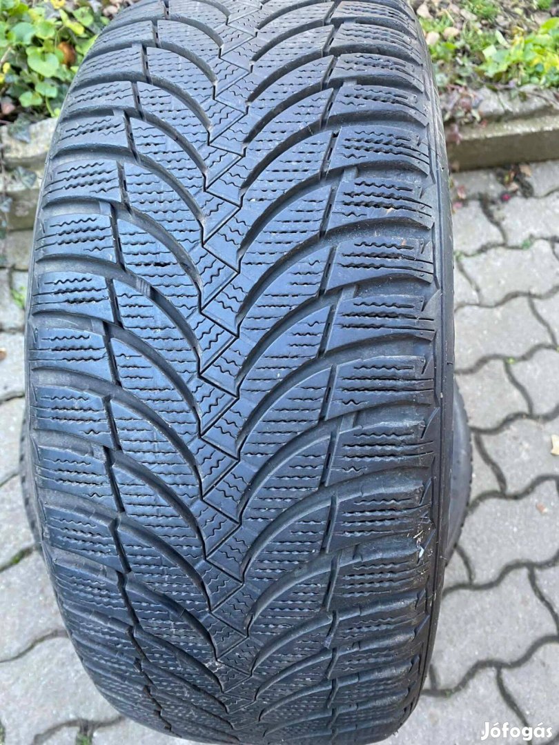 Nexen Winguard 205/55 r16