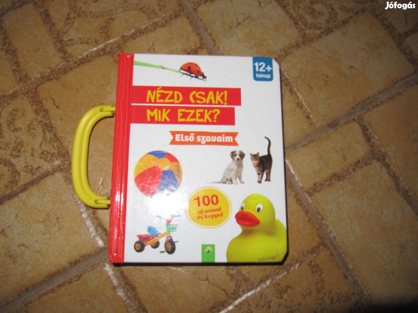 Nézd csak! Mik ezek? Első szavaim, 100 szó, új