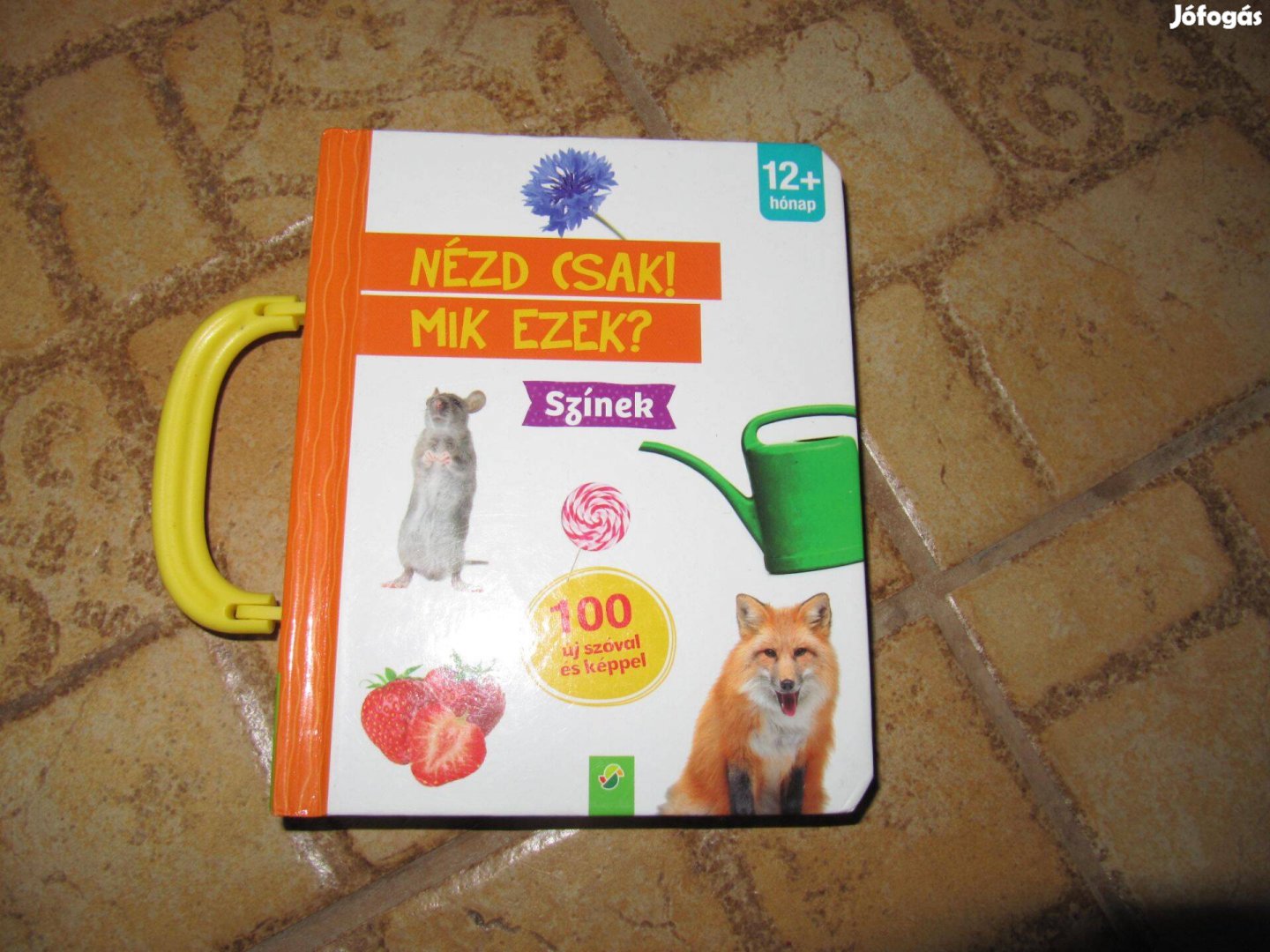 Nézd csak! Mik ezek? Színek 100 szó, új